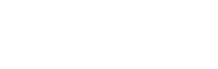 NOIR  Activated Carbon
